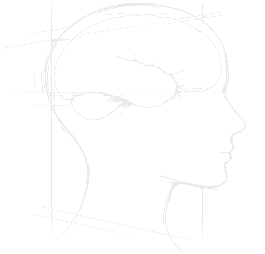 Illustration eines Kopfprofils mit angedeutetem Gehirn als Symbol für Markenstrategie und Klarheit.